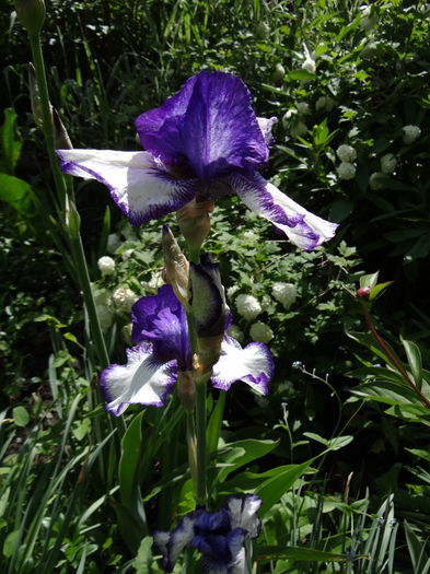  - E Florar in calendar