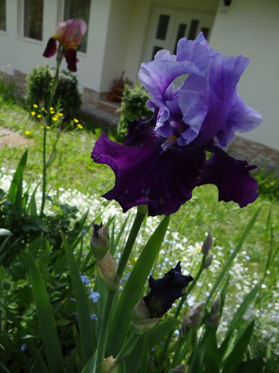  - E Florar in calendar