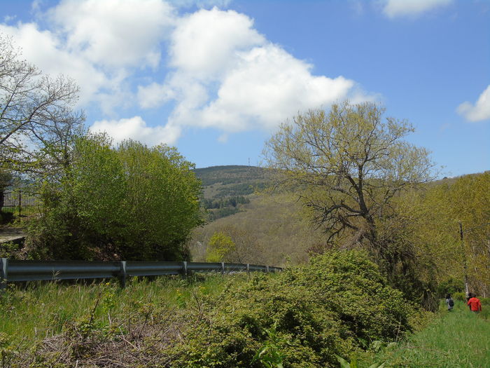 DSC01346 - Bejar-Candelario