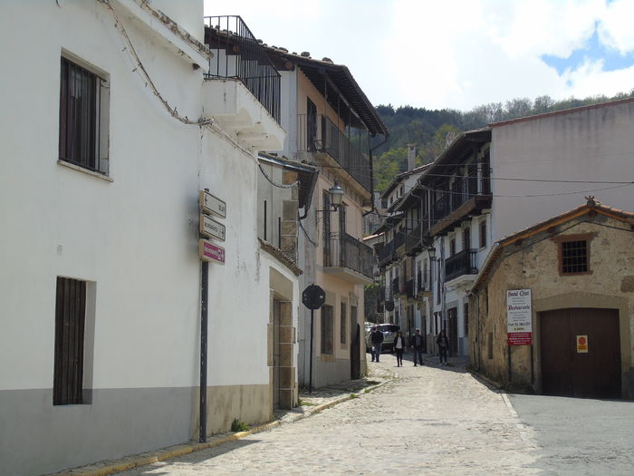 DSC01357 - Bejar-Candelario