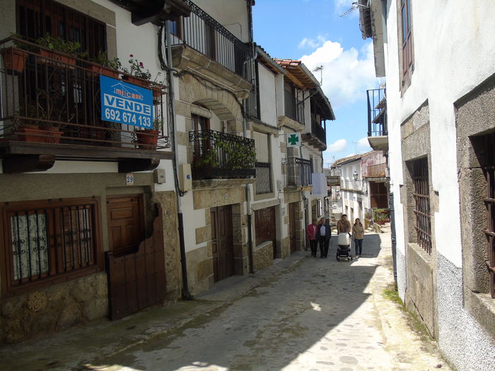 DSC01380 - Bejar-Candelario