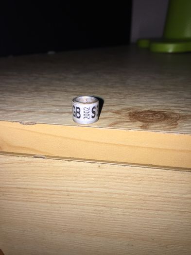 Marea Britanie S - Colectia 1 inele porumbei