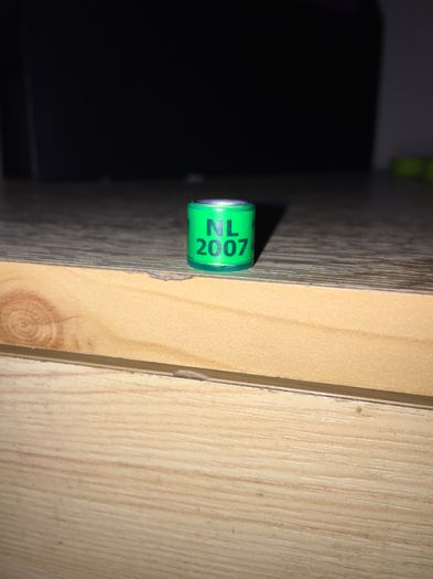 Olanda - Colectia 1 inele porumbei