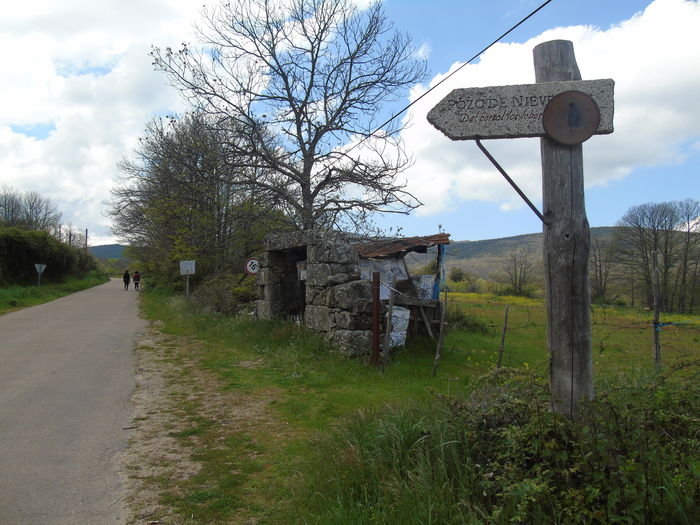 DSC01388 - Bejar-Candelario