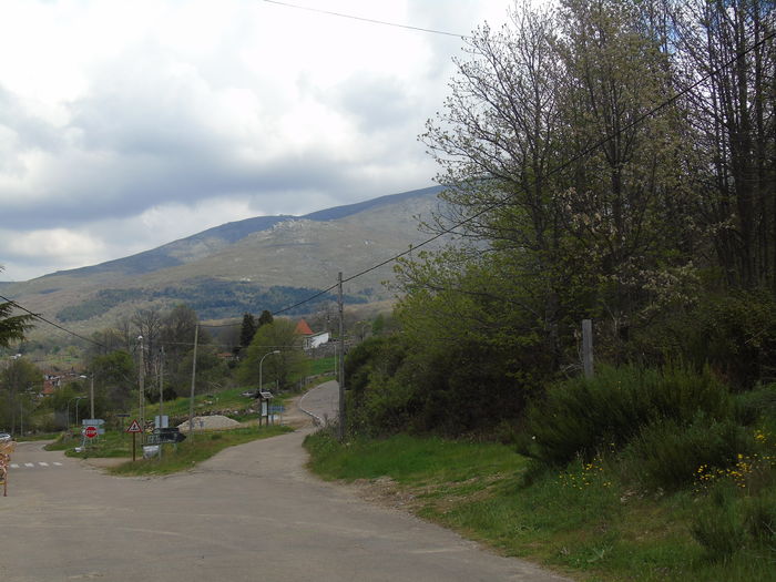 DSC01389 - Bejar-Candelario