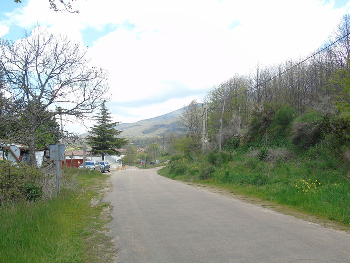 DSC01392 - Bejar-Candelario