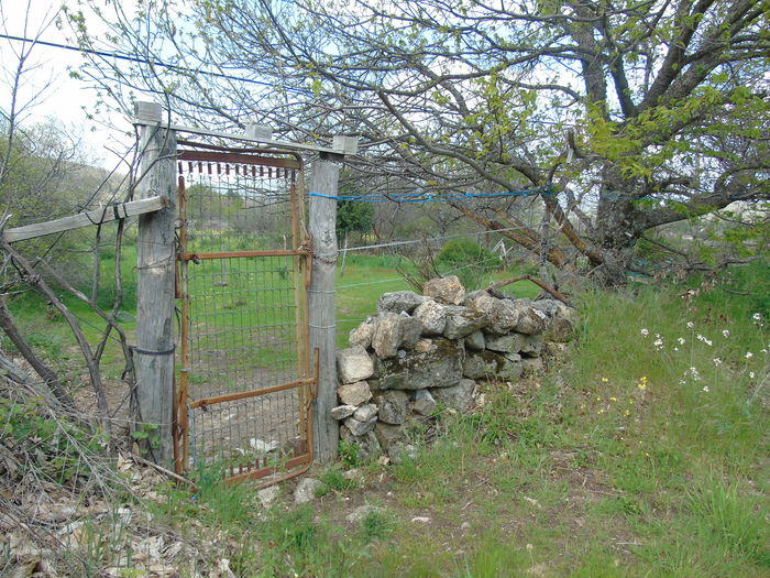 DSC01396 - Bejar-Candelario