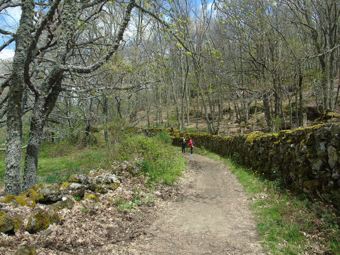 DSC01444 - Bejar-Candelario