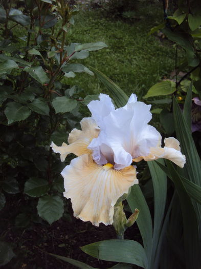DSC00128