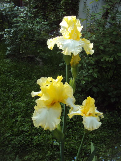 DSC00440