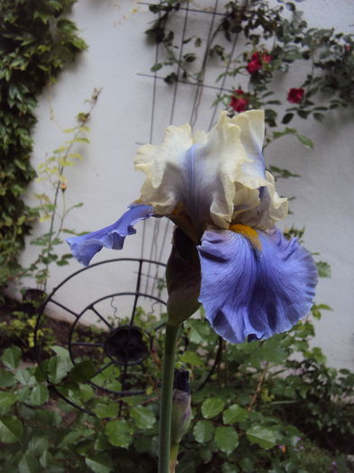 DSC00882