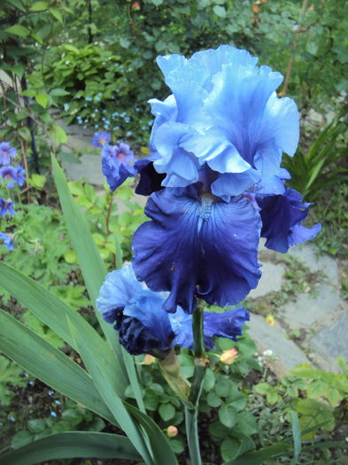 DSC00869