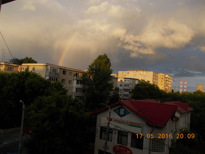 DSCN1150 - SOMEWHERE OVER THE RAINBOW 2016