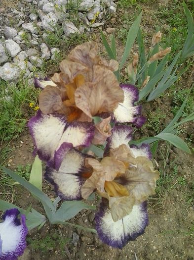 20160511_135610