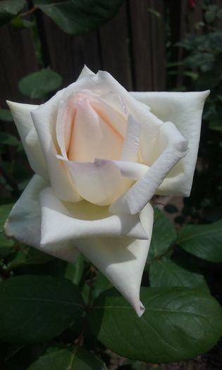 023