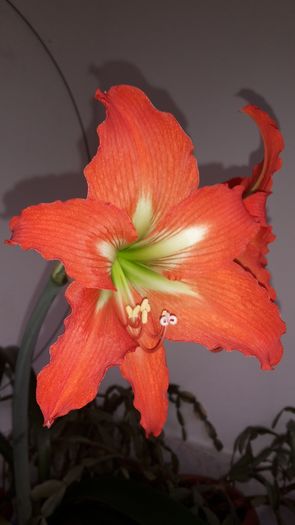 20150414_182716
