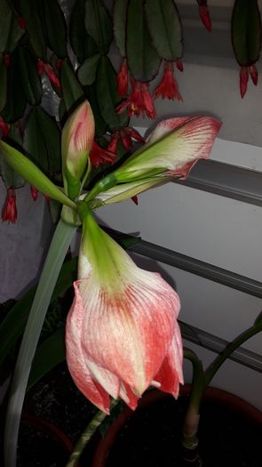 20150427_110150