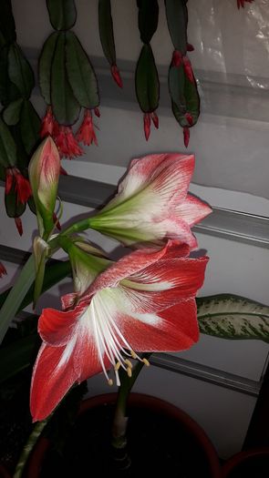 20150428_104514