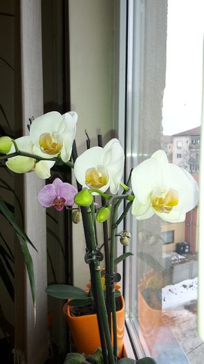 20150109_154245