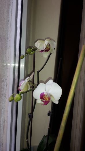 20150109_154303