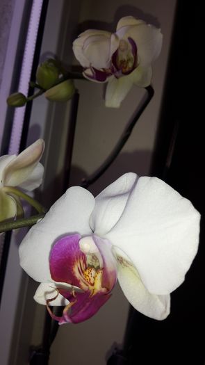 20150109_154317