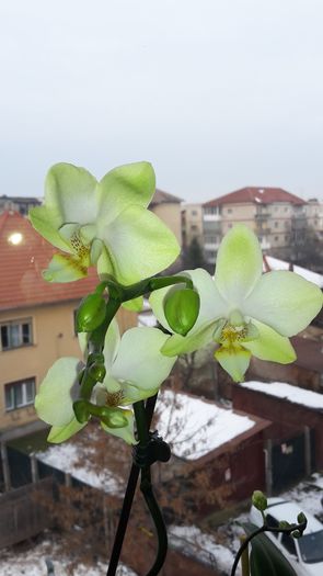 20150109_154414