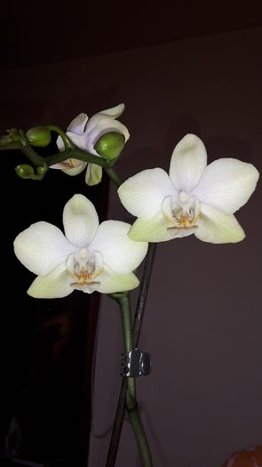 20150109_154442