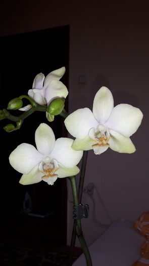 20150109_154450