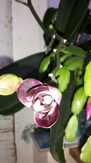 20150109_162122