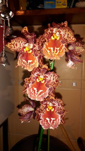 20150114_211611