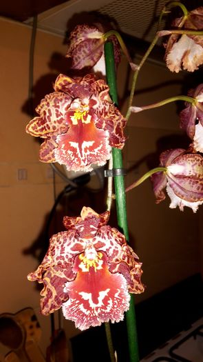 20150114_211641