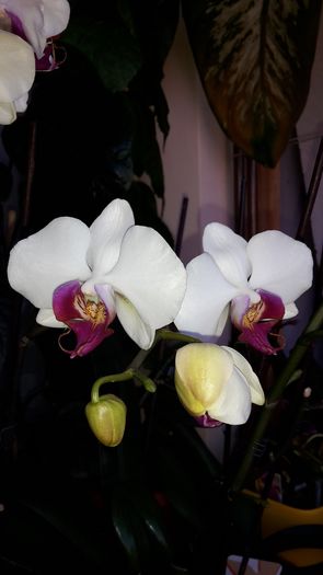 20150115_120227