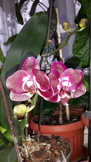 20150120_121042