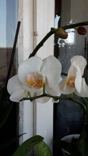 20150212_132120