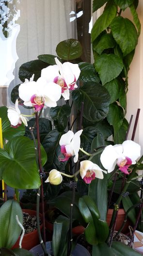 20150212_132140