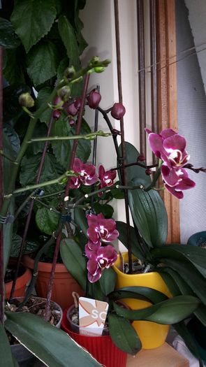 20150223_140233