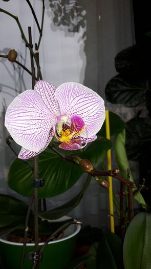 20150223_140238