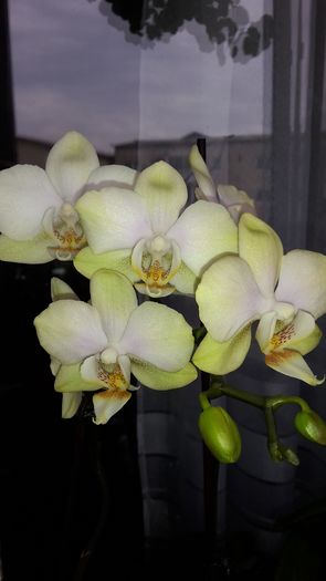 20150223_140349