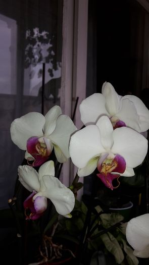 20150223_140405