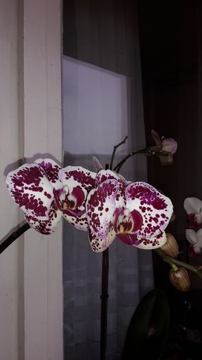 20150305_145451
