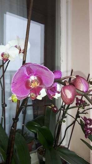 20150305_145501