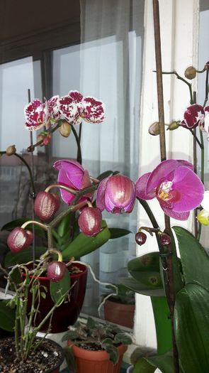 20150305_145517