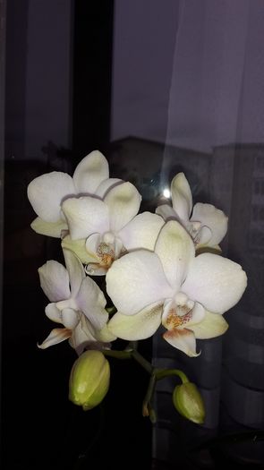 20150305_145706