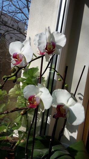 20150319_095430