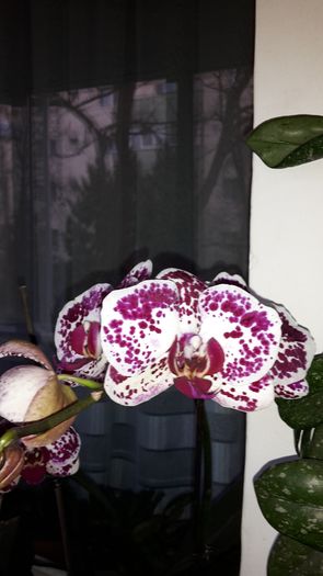 20150319_172919