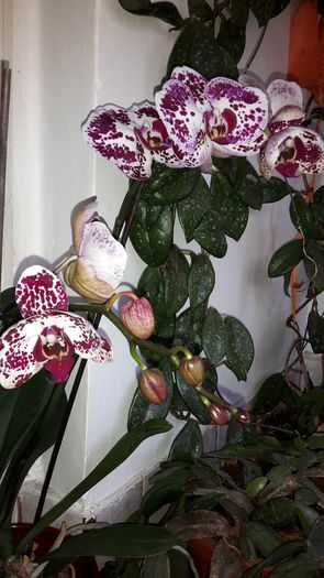 20150319_172930