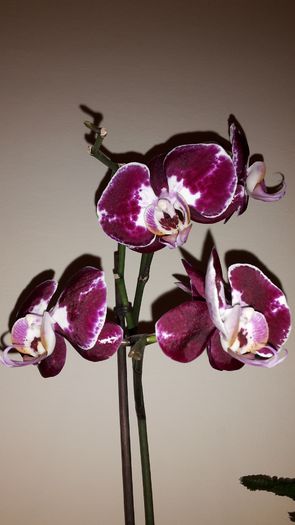 20150320_203058