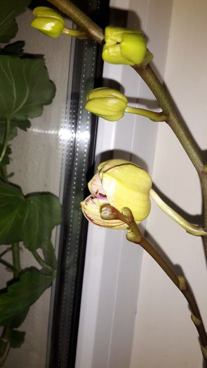 20150323_234848