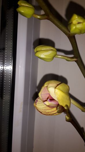20150323_234906