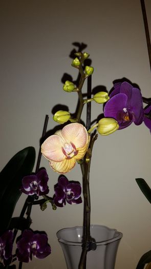 20150325_171514